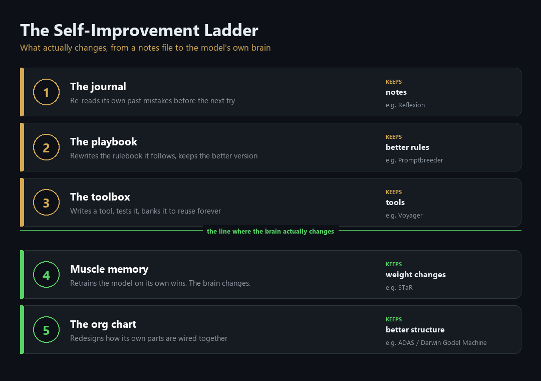 The Self-Improvement Ladder: five rungs of what actually changes, from a journal of notes to the model's own weights and structure