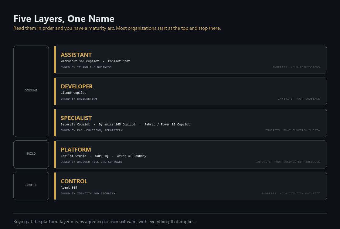 The five Copilot layers, assistant, developer, specialist, platform and control, each with its natural owner